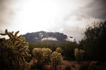photo thumbnail #1