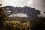 photo thumbnail #2