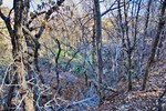 photo thumbnail #11