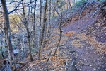 photo thumbnail #12