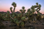photo thumbnail #2