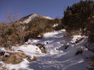 photo thumbnail #5