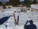 photo thumbnail #7