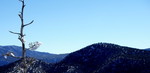 photo thumbnail #10