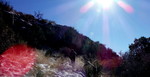 photo thumbnail #13