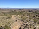 photo thumbnail #3