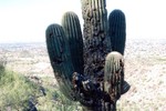 photo thumbnail #10