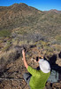 photo thumbnail #4