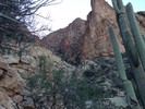 photo thumbnail #12