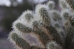photo thumbnail #4