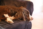 photo thumbnail #11