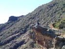 photo thumbnail #5