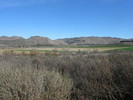 photo thumbnail #6