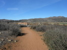 photo thumbnail #7