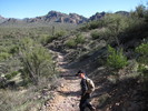 photo thumbnail #1