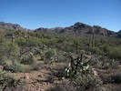 photo thumbnail #3