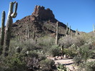photo thumbnail #6