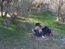 photo thumbnail #10