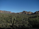 photo thumbnail #12