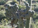 photo thumbnail #6