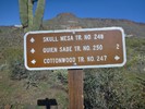 photo thumbnail #7