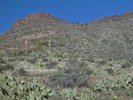 photo thumbnail #8