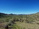photo thumbnail #3