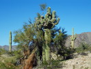 photo thumbnail #5