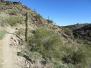 photo thumbnail #13