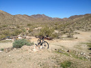 photo thumbnail #3