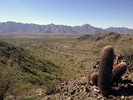 photo thumbnail #8