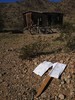 photo thumbnail #13