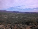 photo thumbnail #11