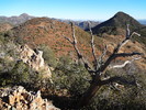 photo thumbnail #3