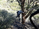 photo thumbnail #6