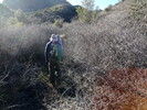 photo thumbnail #11