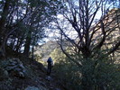 photo thumbnail #13