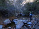photo thumbnail #14
