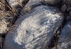 photo thumbnail #10
