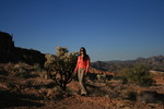 photo thumbnail #13