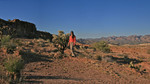 photo thumbnail #14