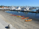 photo thumbnail #10
