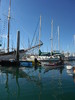 photo thumbnail #11