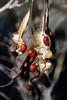 photo thumbnail #9