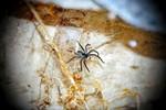 photo thumbnail #11