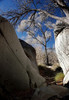 photo thumbnail #15