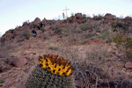 photo thumbnail #10