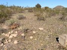 photo thumbnail #9
