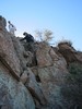 photo thumbnail #8