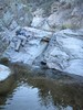 photo thumbnail #14